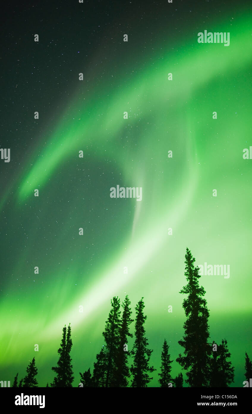 Aurora Borealis oder das Nordlicht, Nordwest-Territorien, Kanada Stockfoto