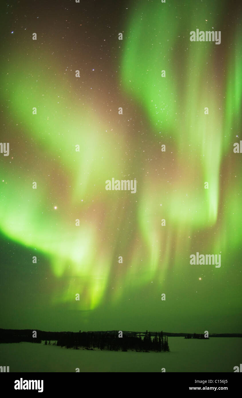 Aurora Borealis oder das Nordlicht, Nordwest-Territorien, Kanada Stockfoto