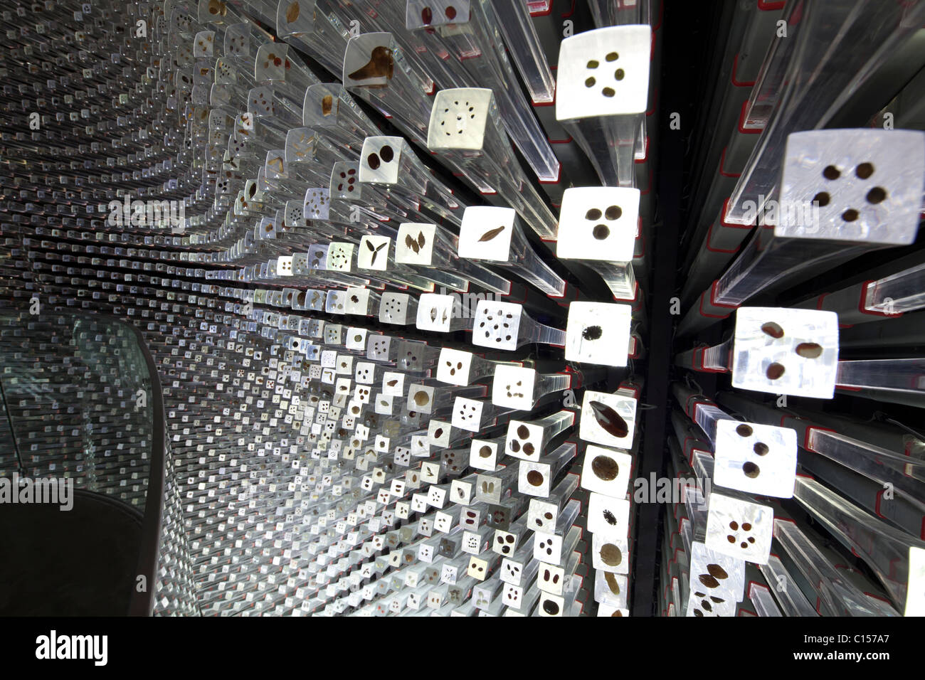 Shanghai World Expo 2010, China. Innere des UK Pavillon Design von Thomas Heatherwick. Stockfoto