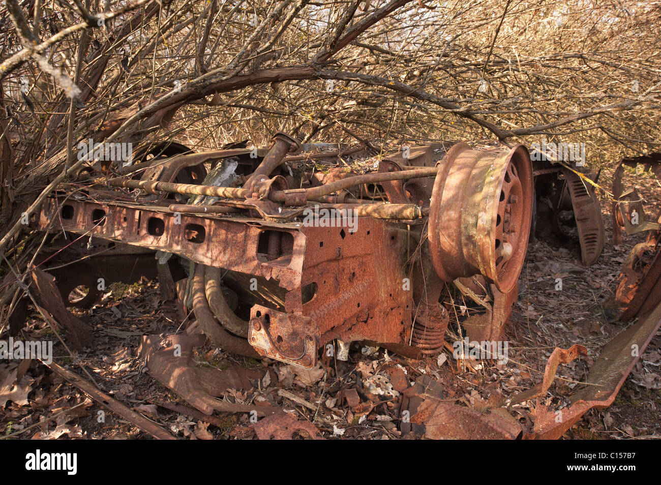 rostige Auto ausgebrannt Wrack von Unterholz auf Land zu besiedeln versteckt Stockfoto