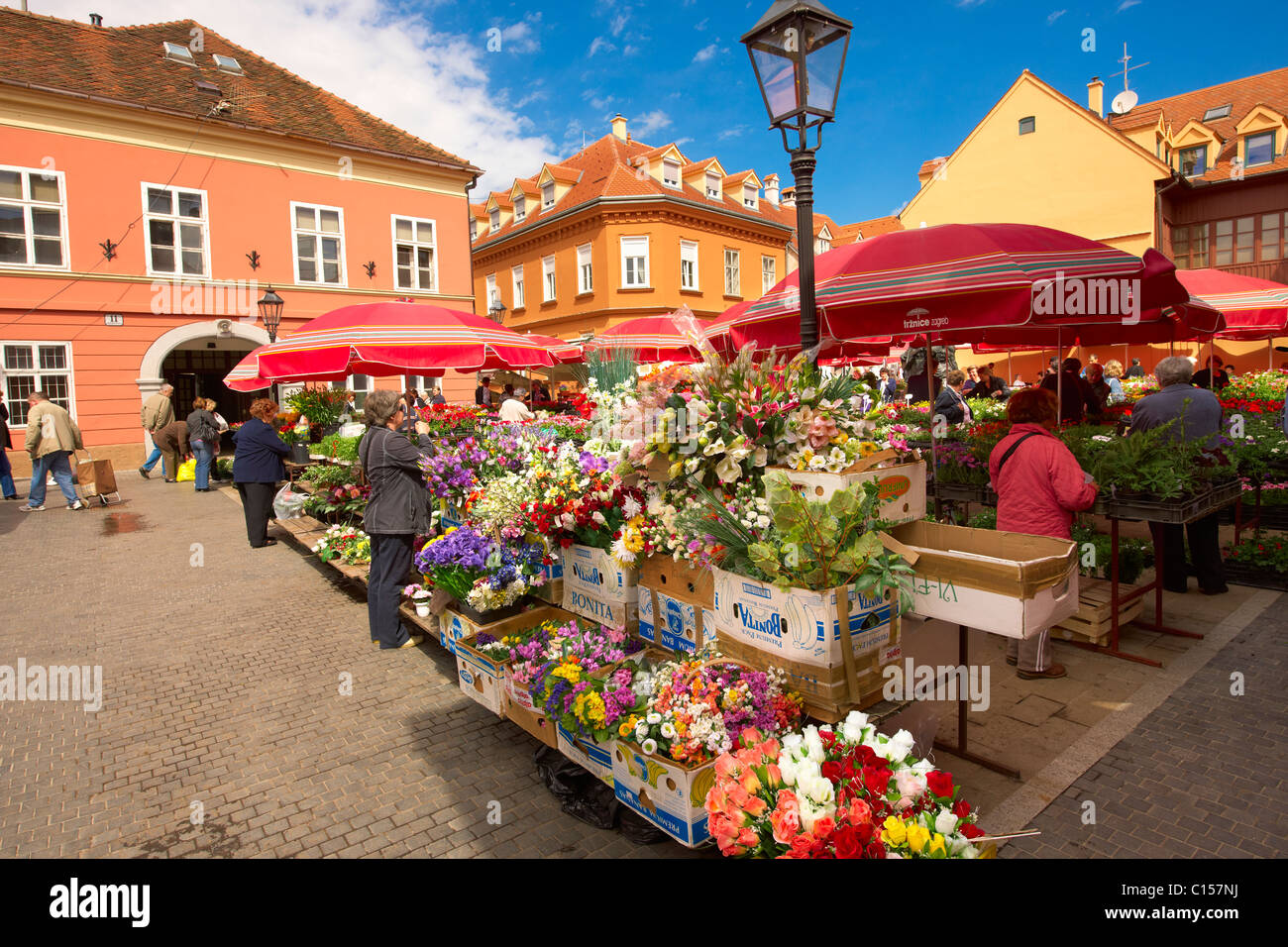 Dolac Blumenmarkt [Tržnica Dolac], Zagreb, Kroatien Stockfoto