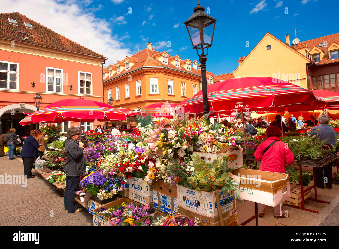 Dolac Blumenmarkt [Tržnica Dolac], Zagreb, Kroatien Stockfoto