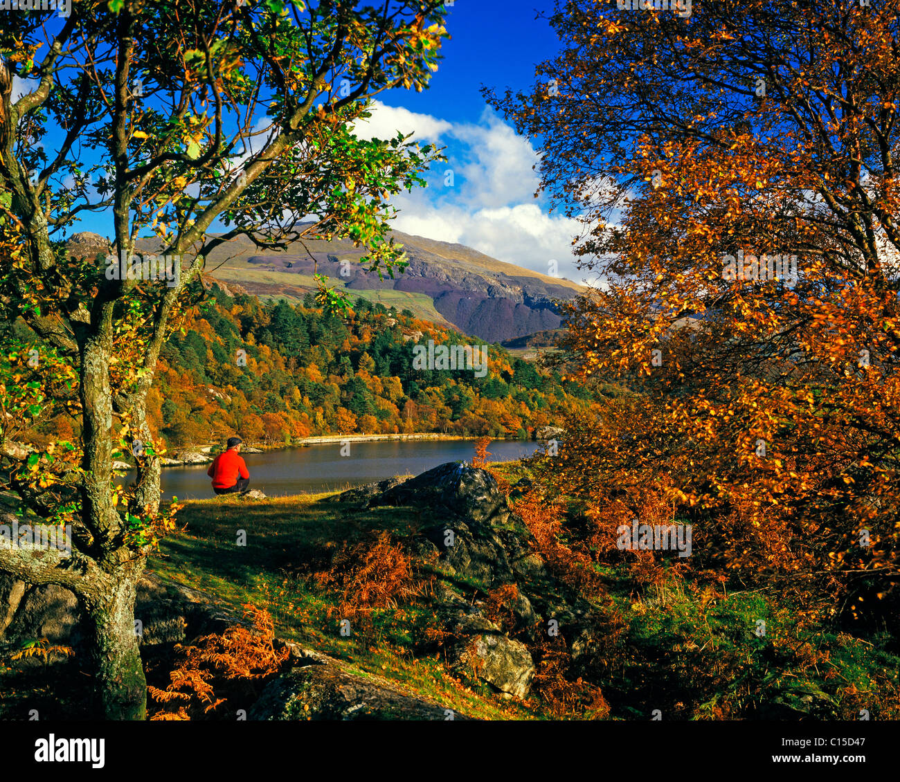 LLN Padarn in Herbstfarben, Llanberis, Snowdonia, Gwynedd, Nordwales, UK Stockfoto