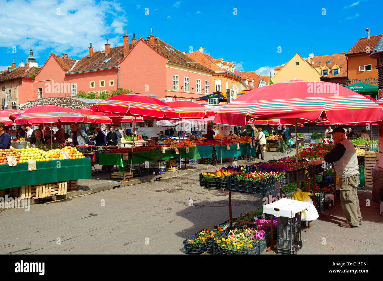 Dolac Blumenmarkt [Tržnica Dolac], Zagreb, Kroatien Stockfoto