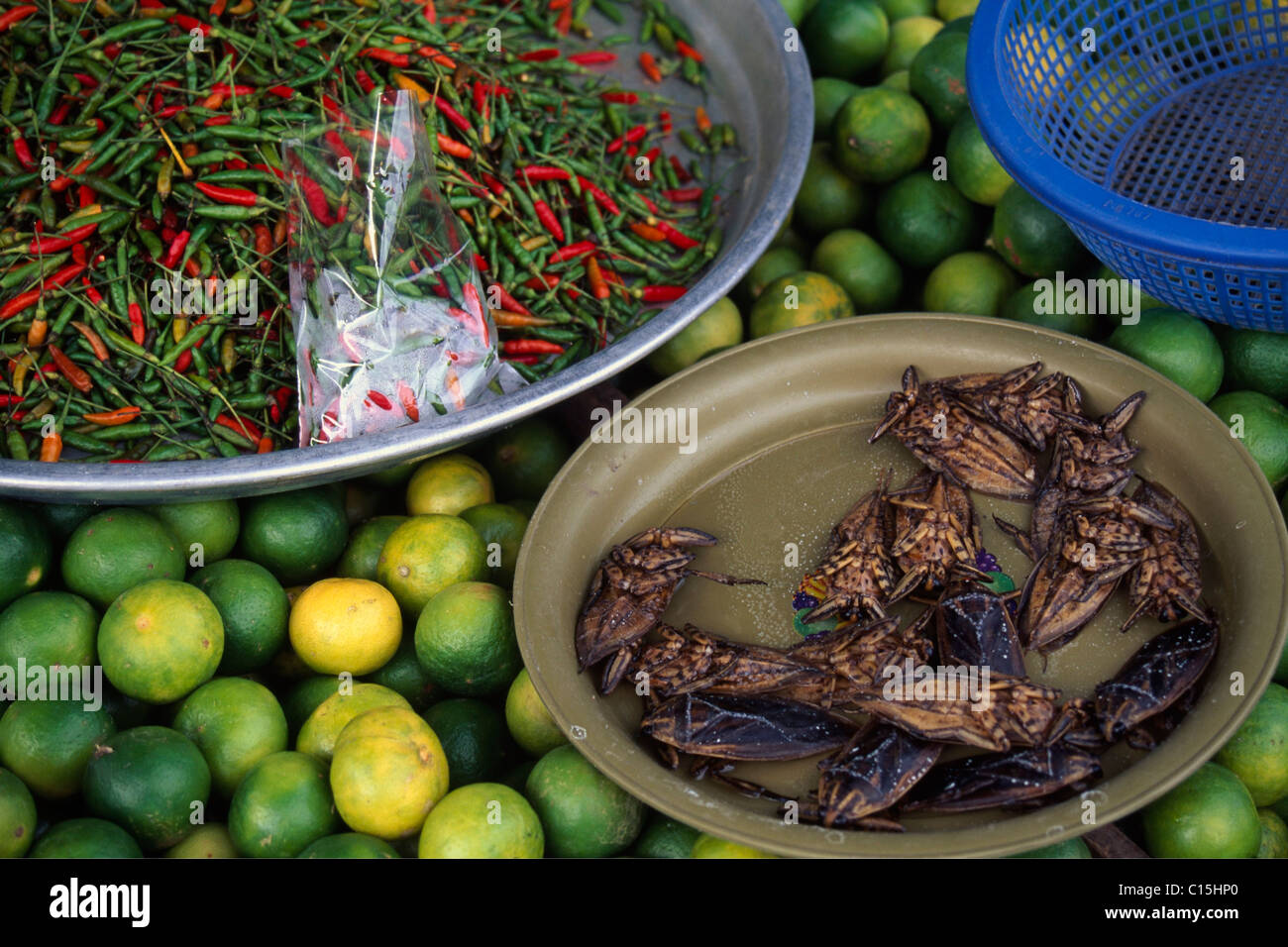 Chili, Limetten und gebratene Insekten auf einem Markt in Patong, Phuket, Thailand, Südostasien Stockfoto