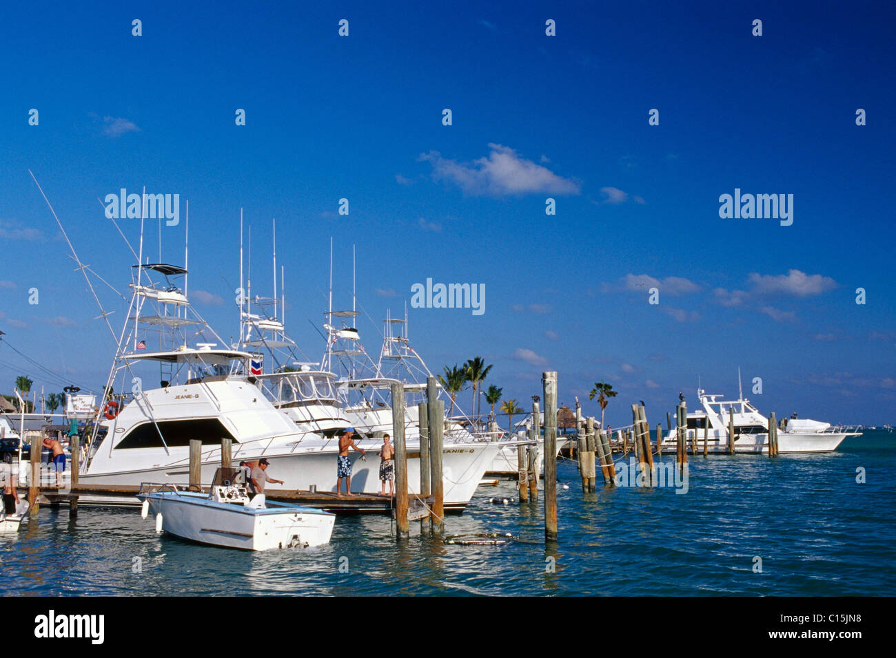 Wal-Hafen, Islamorada Key, Florida Keys, Florida, USA Stockfoto