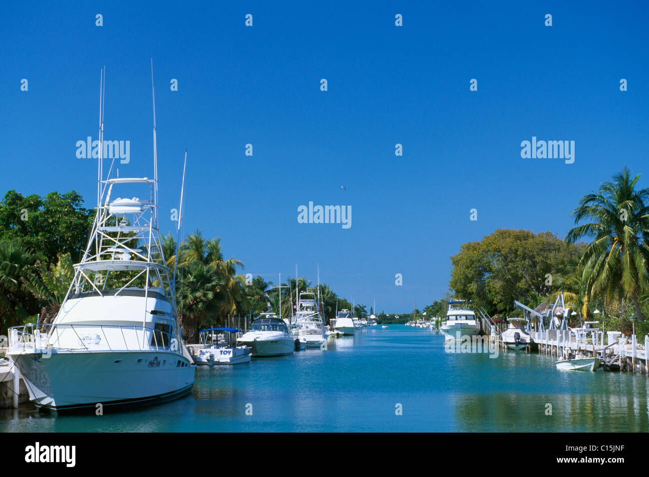 Windley Hafen, Islamorada Key, Florida Keys, Florida, USA Stockfoto