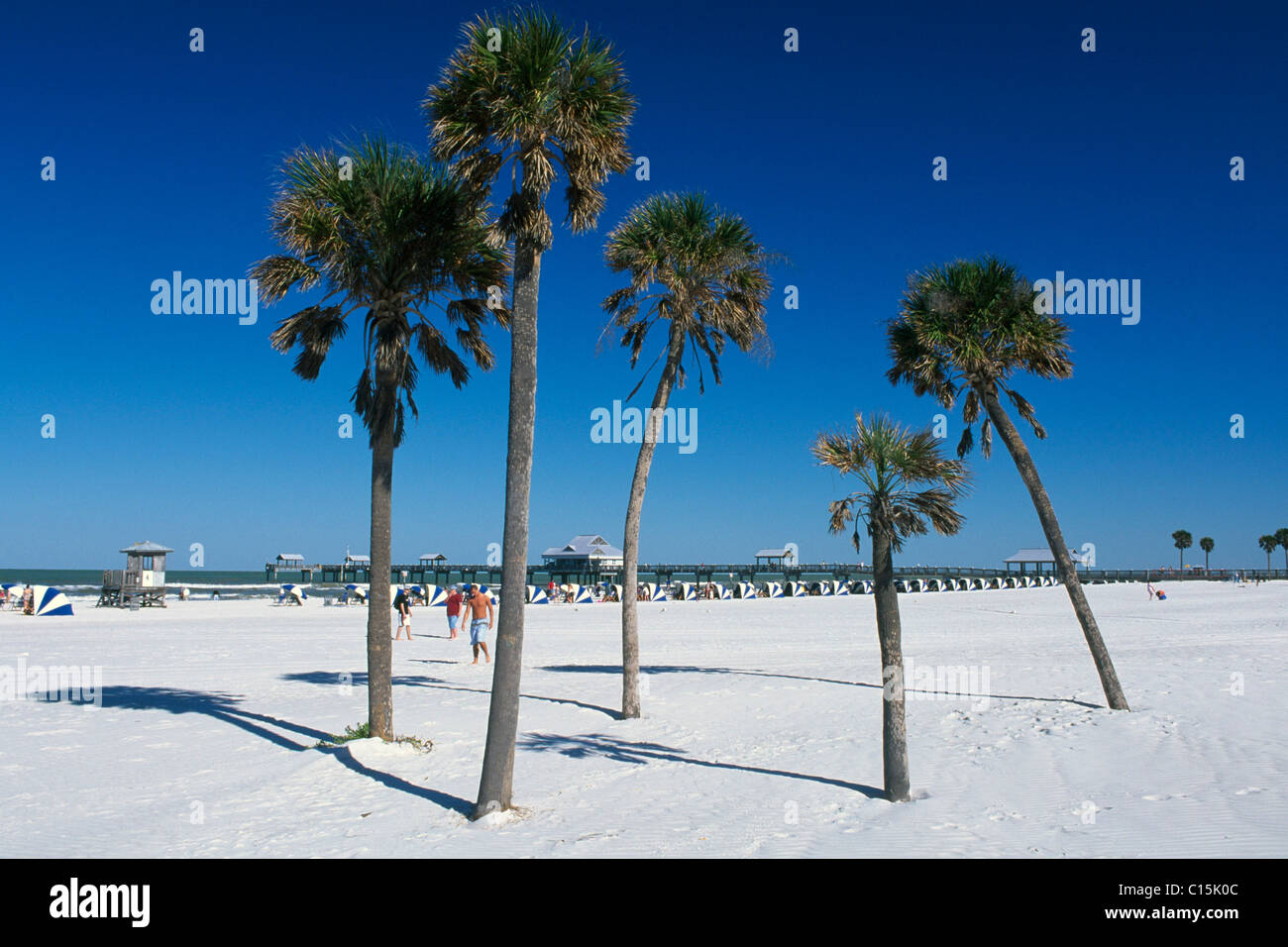 Clearwater Beach, St. Petersburg, Florida, USA Stockfoto
