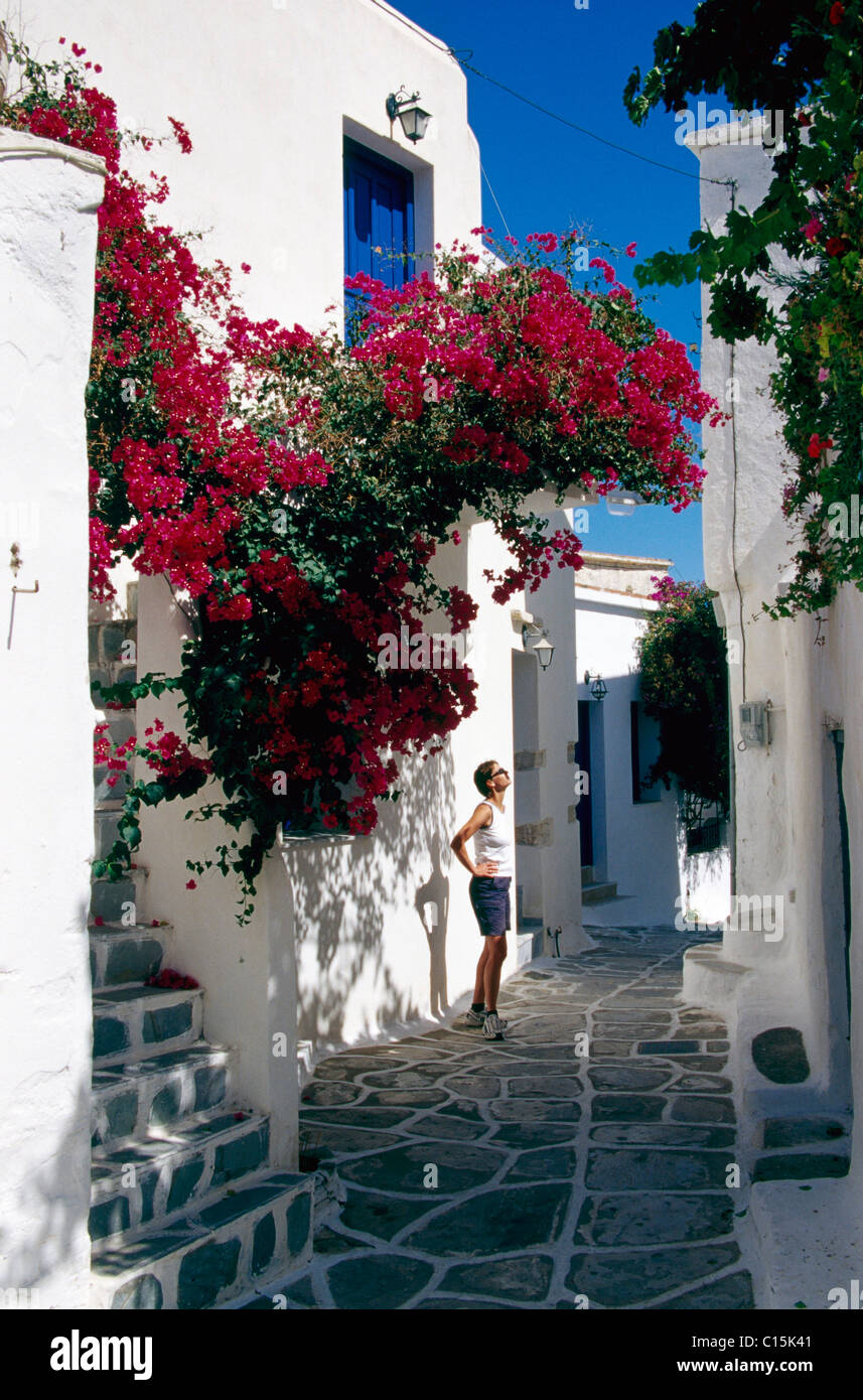 Gasse, Lefkes, Insel Paros, Kykladen, Griechenland Stockfoto
