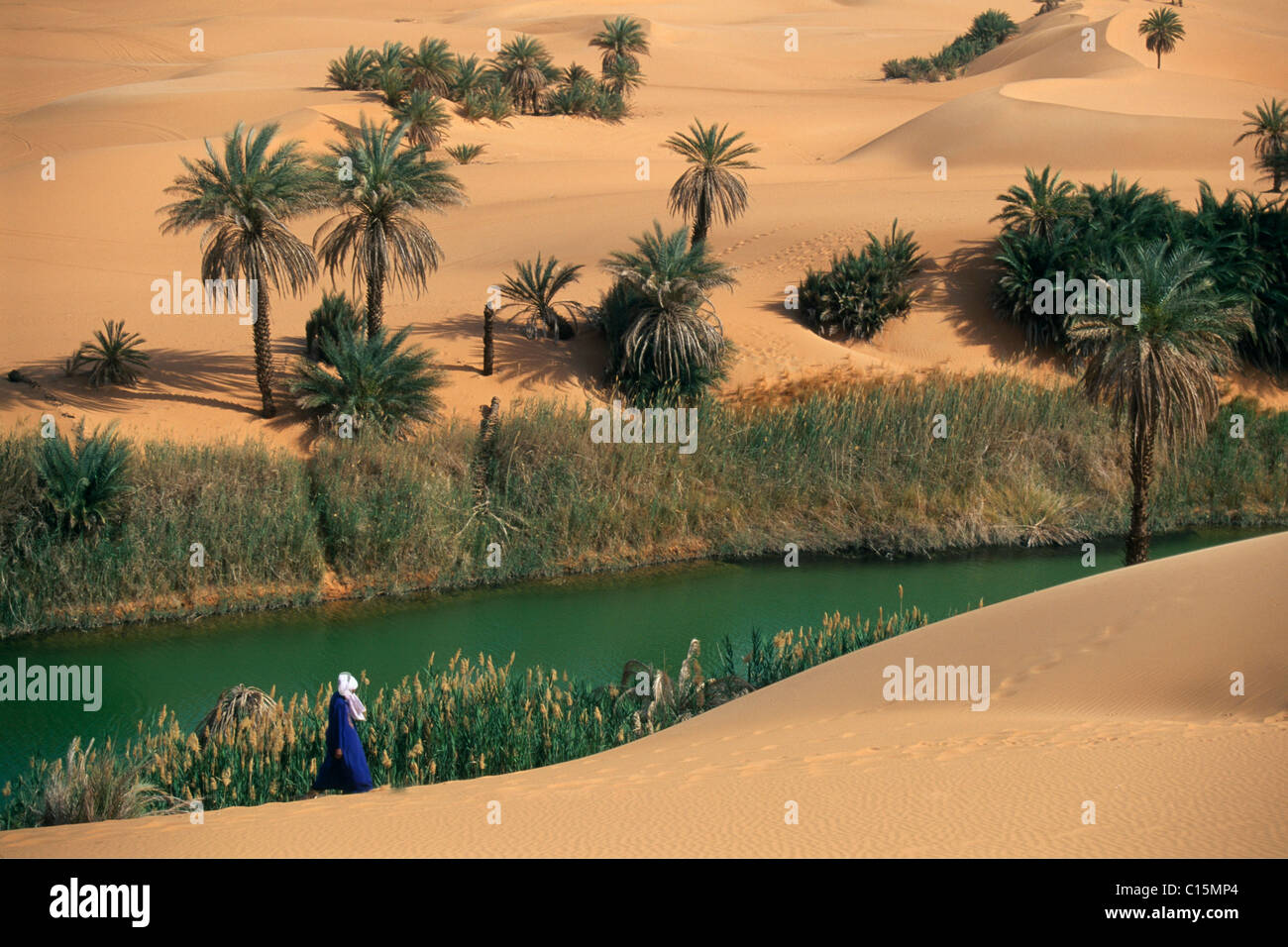 Oum el Ma Oase, Mandara Seen, Libyen, Afrika Stockfoto Oum el Ma Oase, Mandara Seen, Libyen, Afrika Stockfoto