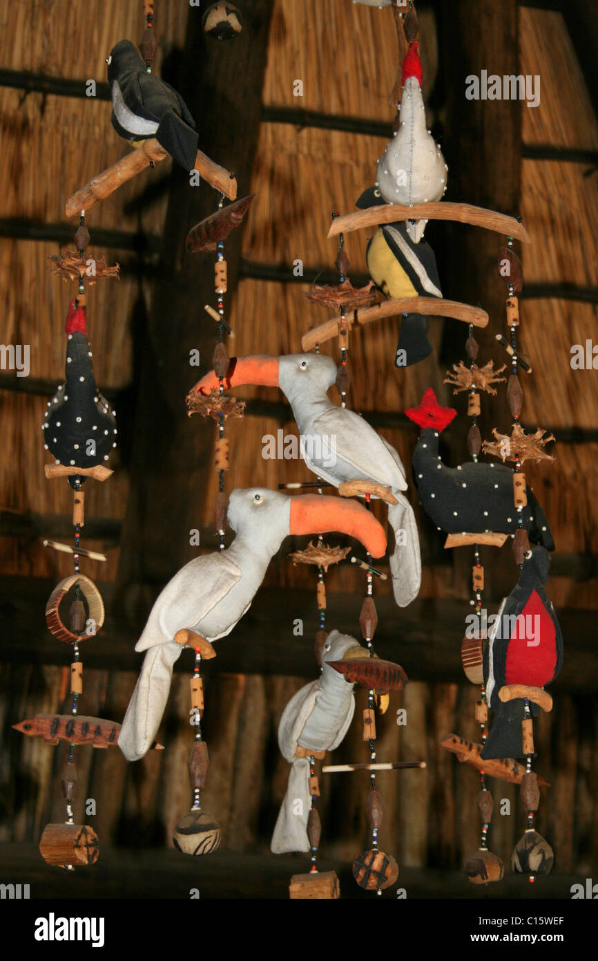 Afrikanischen Vogel Mobile, Windhoek, Namibia Stockfoto