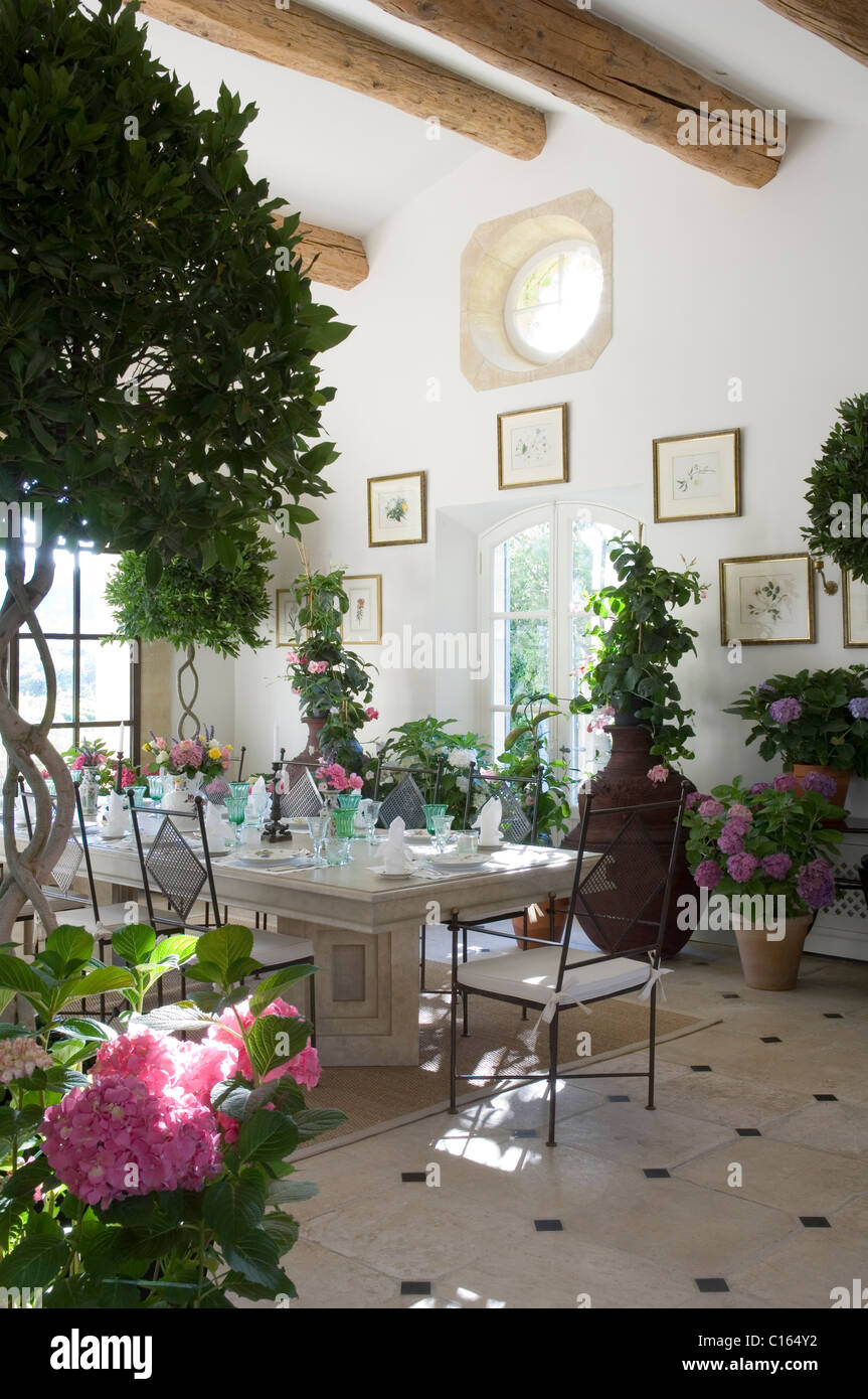 Esstisch in der Orangerie mit hölzernen Balkendecke und Topfpflanzen gelegt Stockfoto