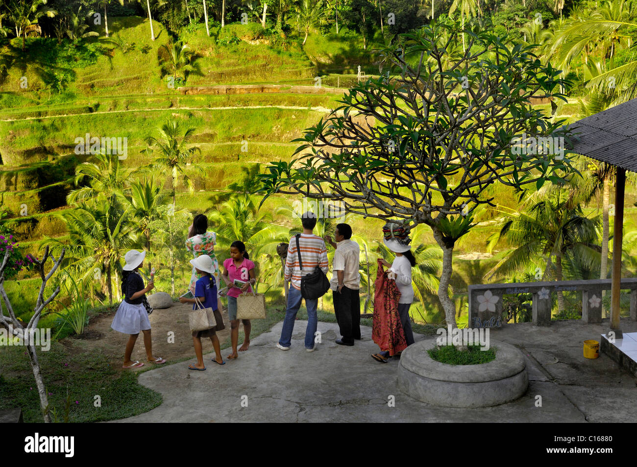 Reisterrassen, Souvenir-Verkäufer rund um ein Tourist in der Nähe von Ubud, Bali, Indonesien, Asien Stockfoto