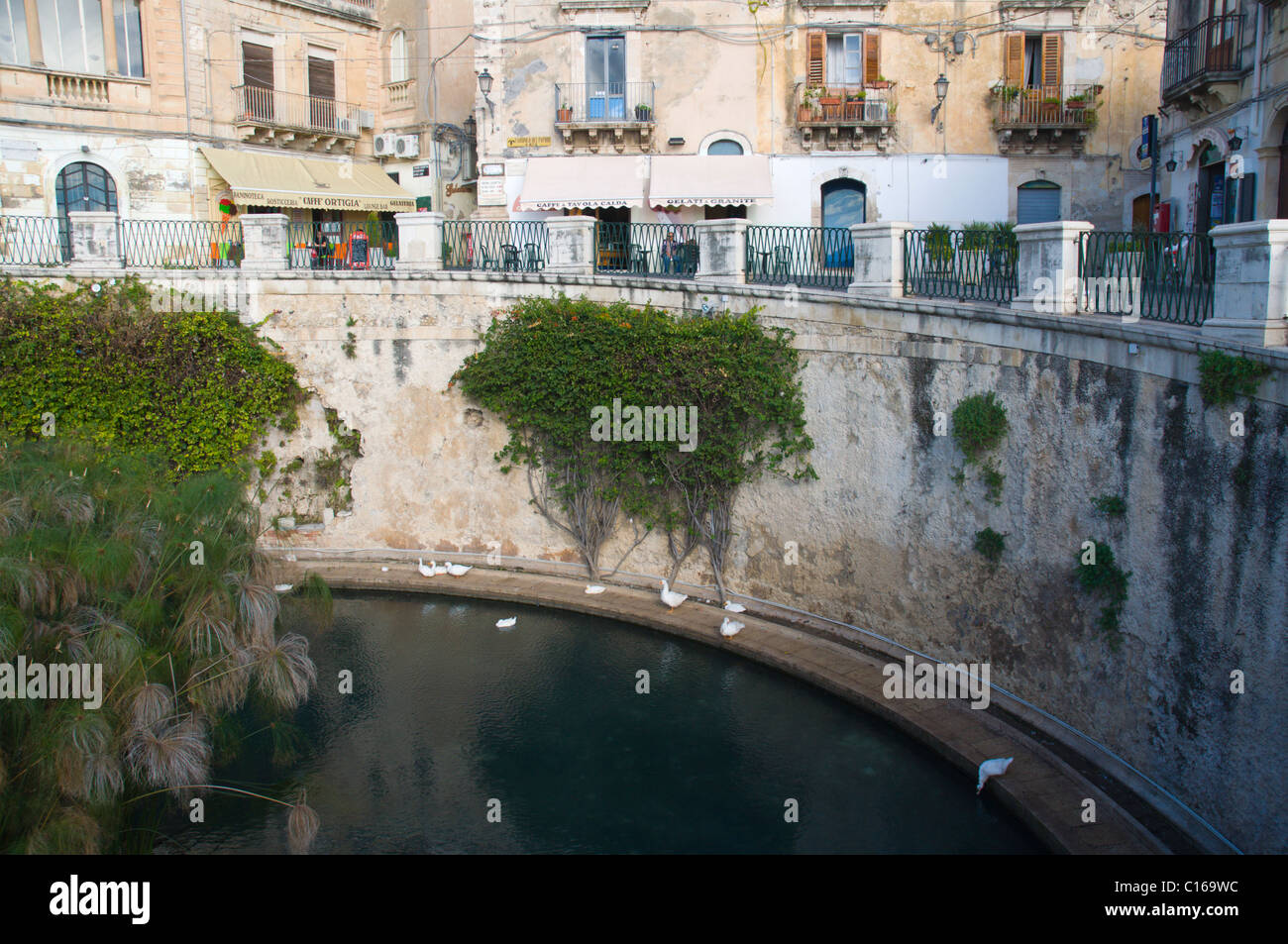 Fontana Aretusa-Brunnen Ortigia Insel alte Stadt Syrakus Sizilien Italien Europa Stockfoto