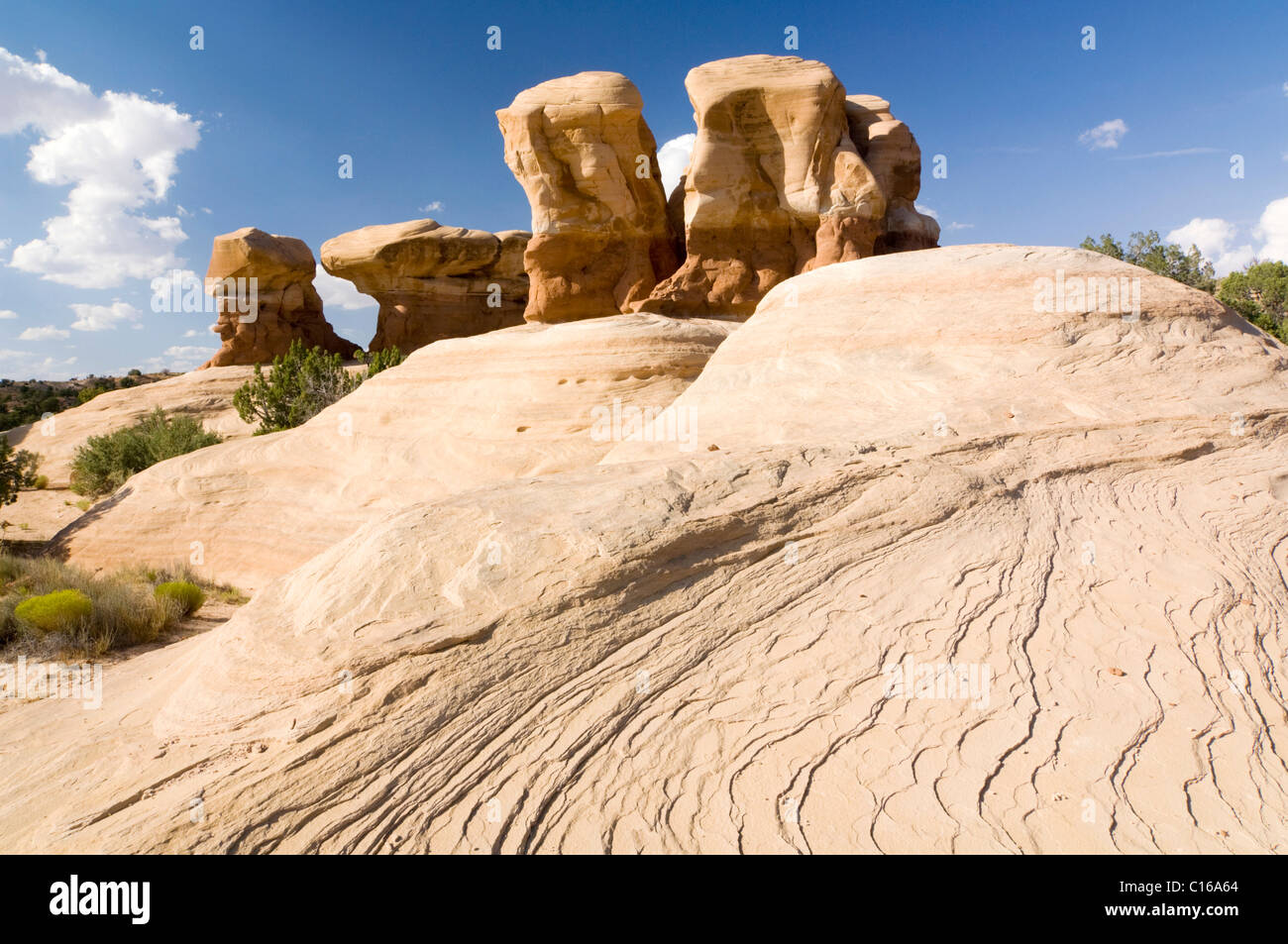 Sandstein-Formationen in Devils Garden, Grand Treppe Escalante National Monument, Utah, USA, Nordamerika Stockfoto