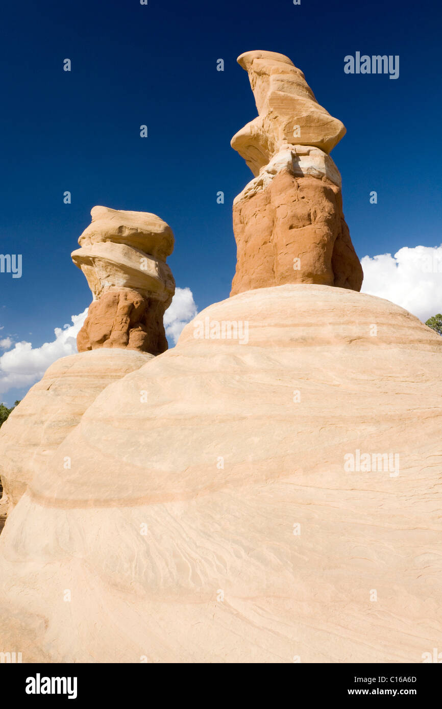 Sandstein-Formationen in Devils Garden, Grand Treppe Escalante National Monument, Utah, USA, Nordamerika Stockfoto