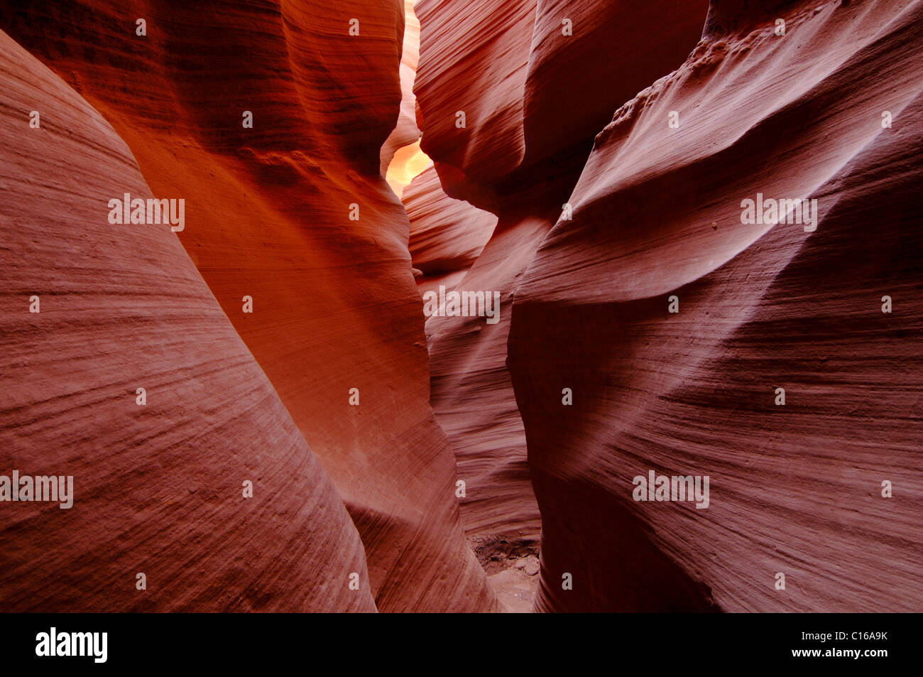 Slotcanyon der Lower Antelope Canyon, Navajo Tribal Park, Page, Arizona, USA, Nordamerika Stockfoto