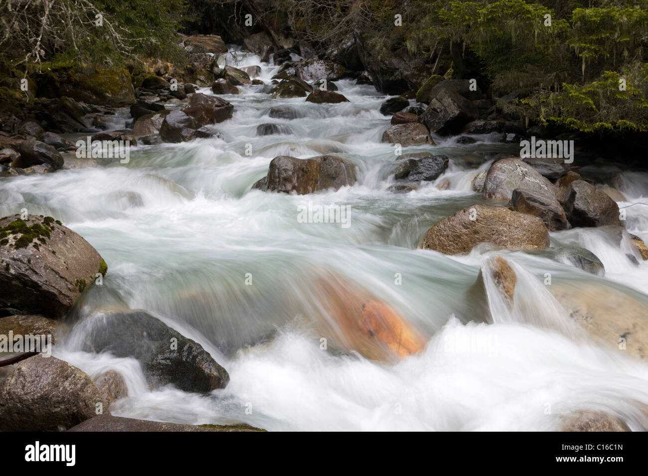 Ruetzbach, Ruetz Creek, Stubaital Valley, Nord-Tirol, Österreich, Europa Stockfoto
