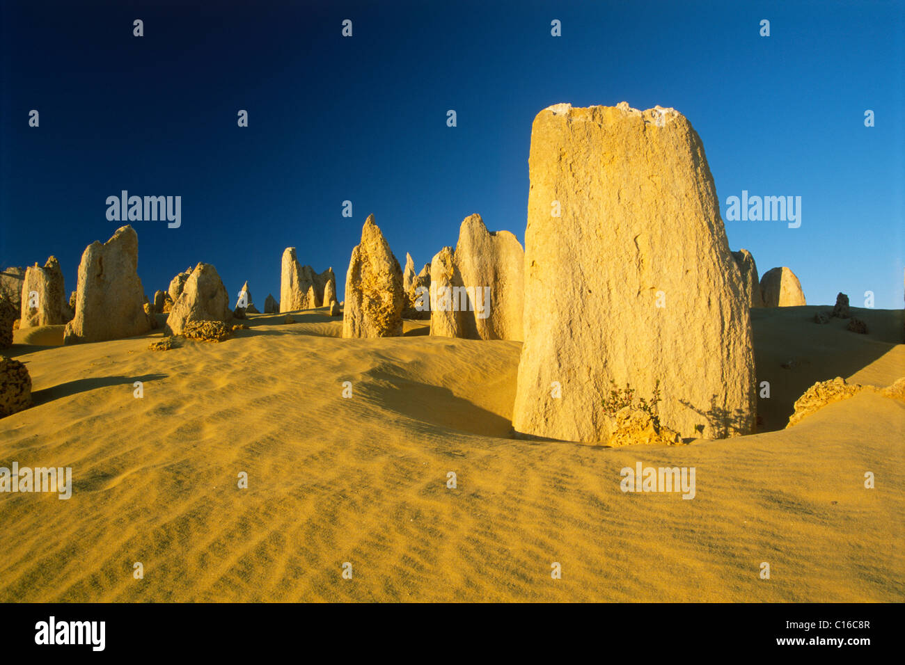 Pinnacle Wüste, Nambung National Park, Western Australia, Australien Stockfoto
