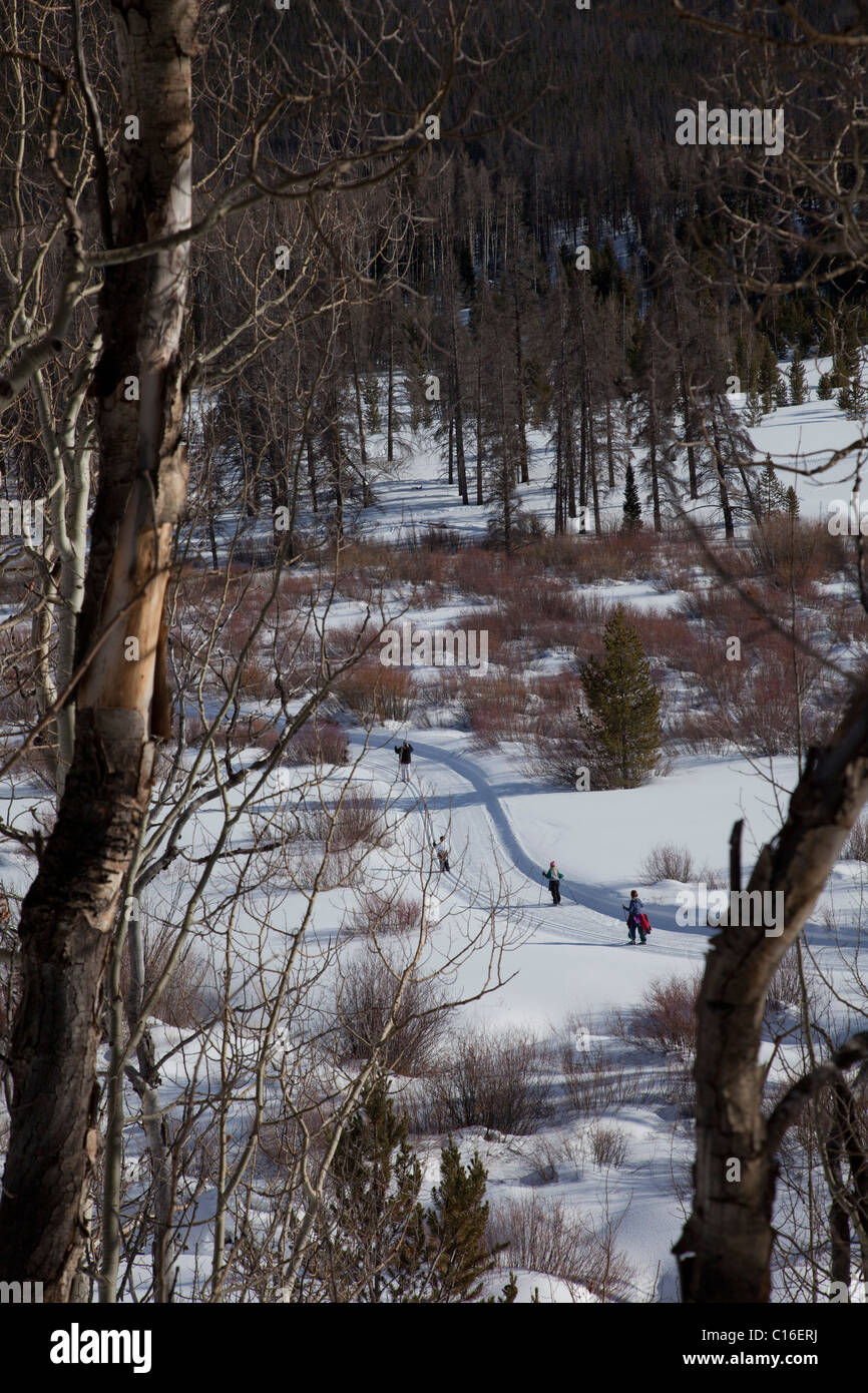 Granby, Colorado - Langlauf in Snow Mountain Ranch in den Rocky Mountains. Die Ranch wird von der CVJM betrieben. Stockfoto