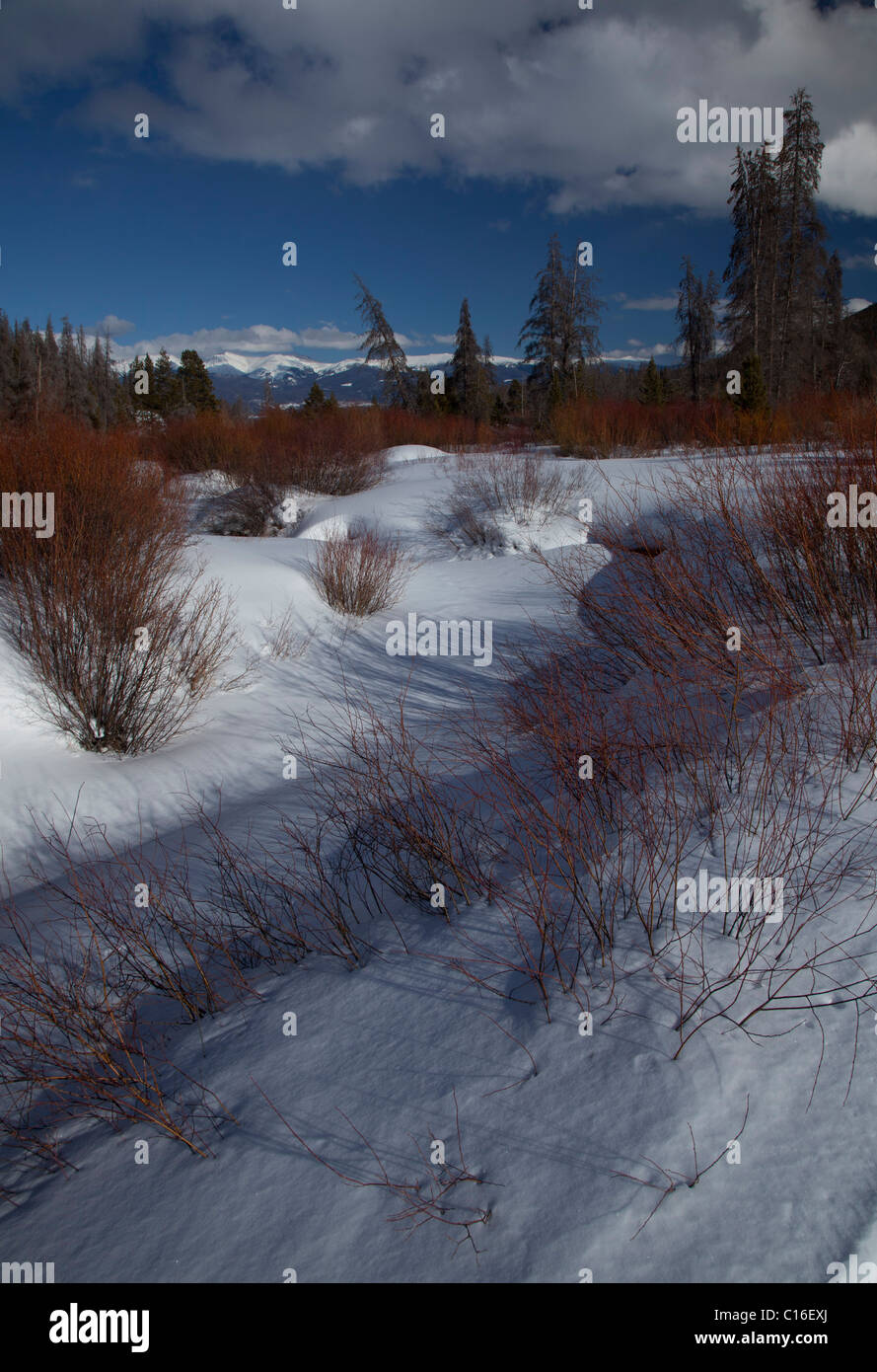 Granby, Colorado - gefrorenen Pole Creek auf Snow Mountain Ranch in den Rocky Mountains. Die Ranch wird von der CVJM betrieben. Stockfoto