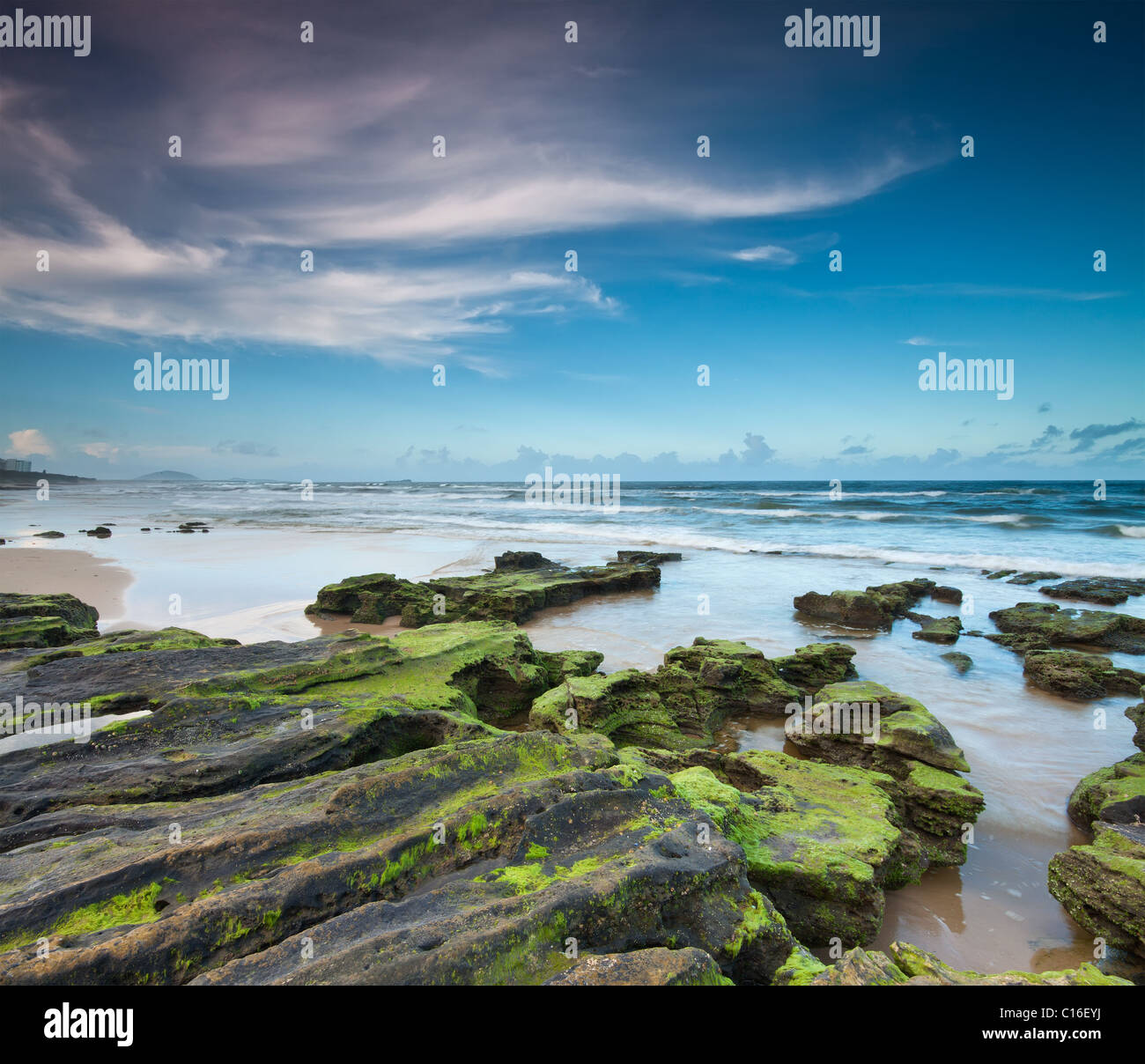 australischen Strand in der Abenddämmerung mit interessanten Felsen im Vordergrund (Alexandra Headland, Qld, Australien) Stockfoto