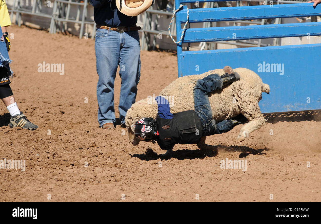 Jugendliche treten in der Fiesta de Los Vaqueros, eine jährliche Rodeo in Tucson, Arizona, USA. Stockfoto