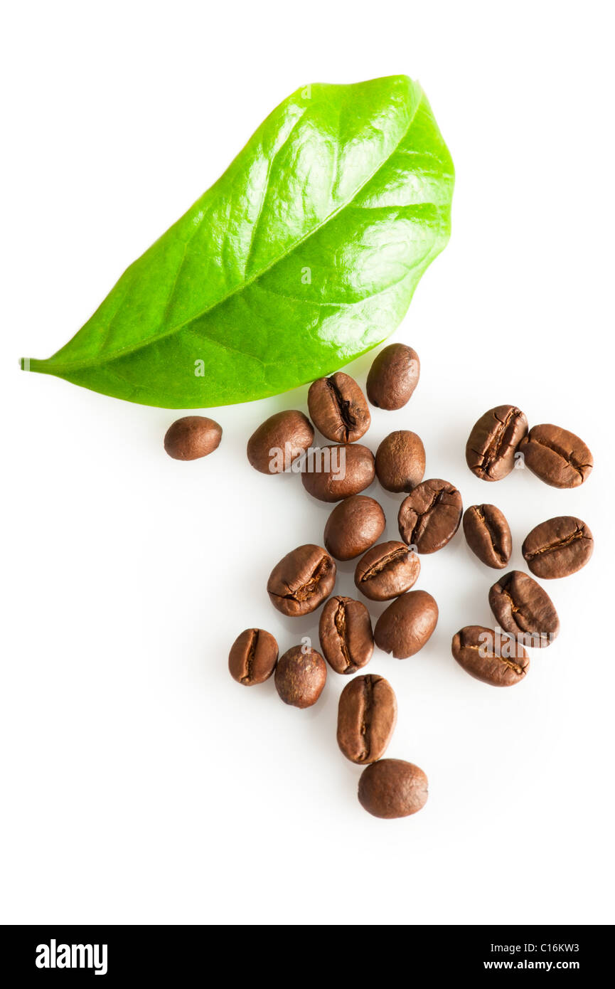 Kaffeebohnen und grünes Blatt der Kaffeepflanze auf weiß Stockfoto