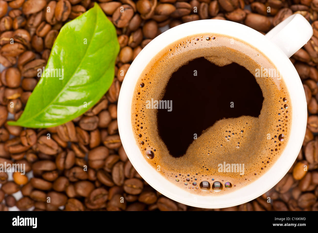 Tasse Kaffee und Kaffeebohnen mit grünen Blatt der Kaffeepflanze. Tasse im Fokus Stockfoto