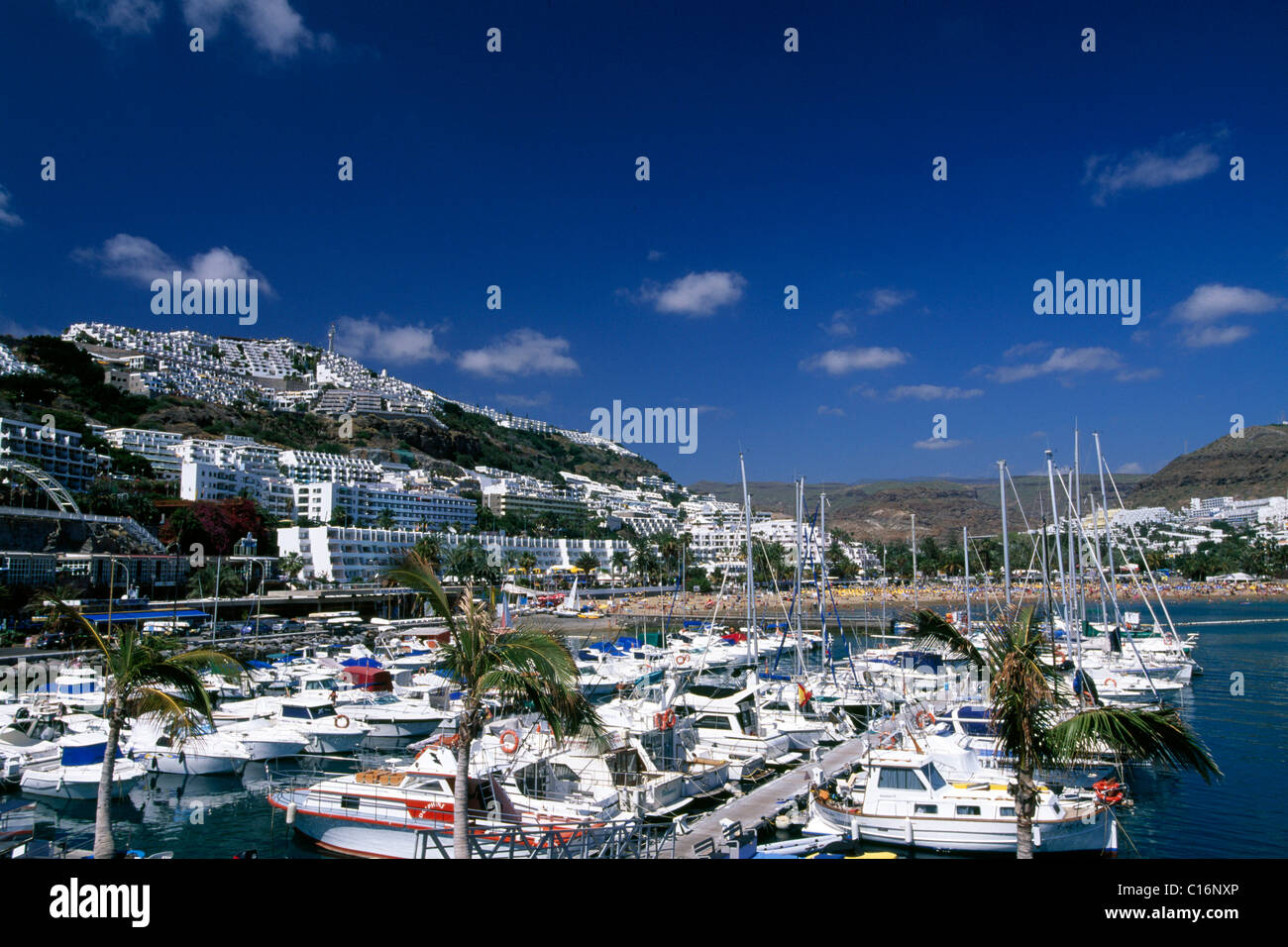Marina, Puerto Rico, Gran Canaria, Kanarische Inseln, Spanien, Europa Stockfoto
