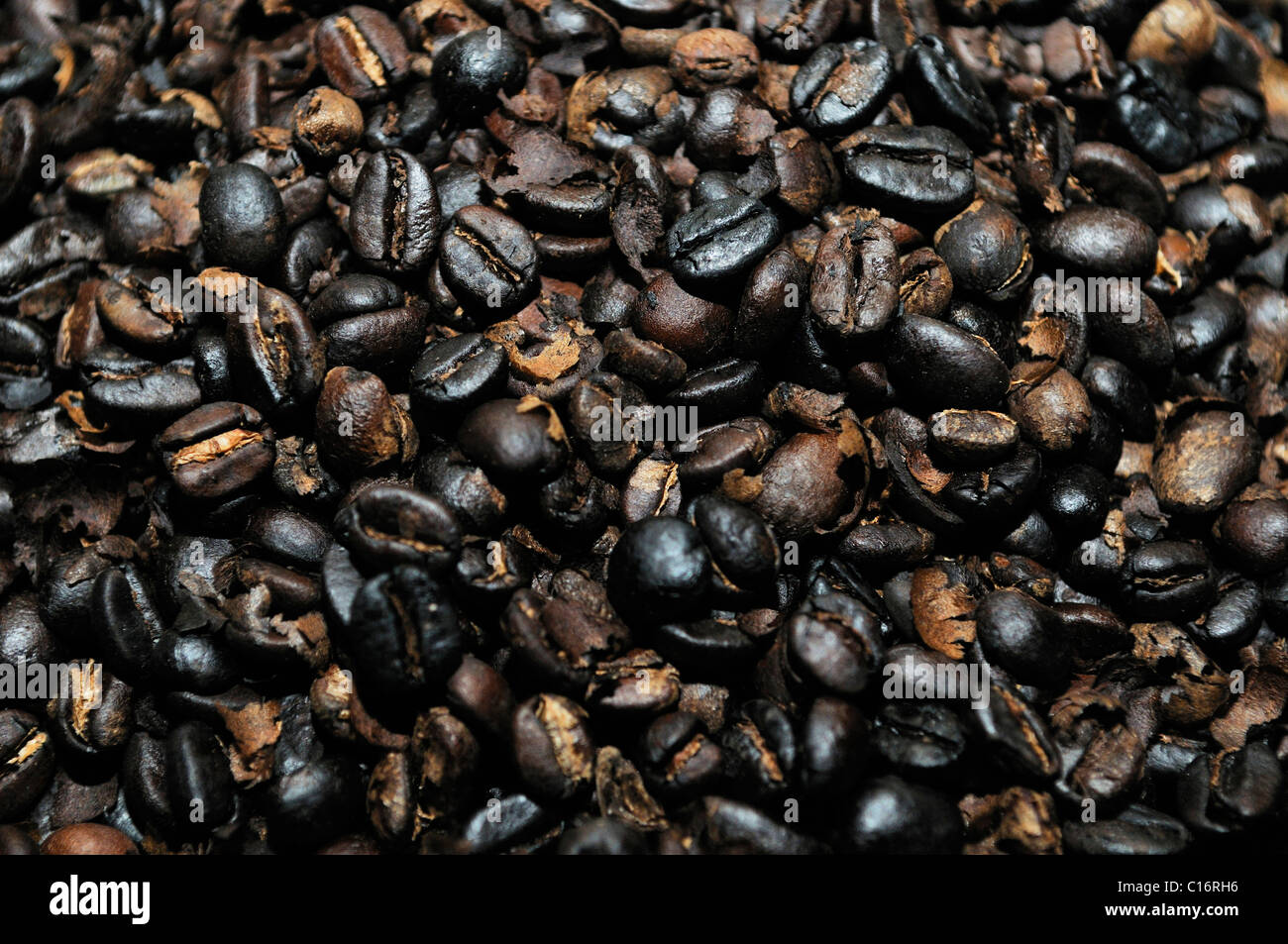 Frisch gerösteten Kaffeebohnen, Miraflor-Moropotente Nature Reserve, Esteli, Nicaragua, Mittelamerika Stockfoto