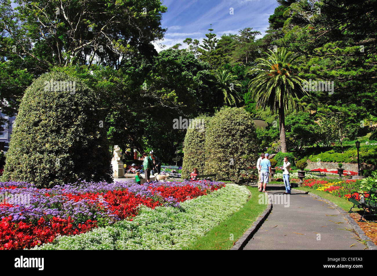 Bunte Blumen zeigt, Region Wellington Botanic Garden, Wellington, Wellington, Nordinsel, Neuseeland Stockfoto