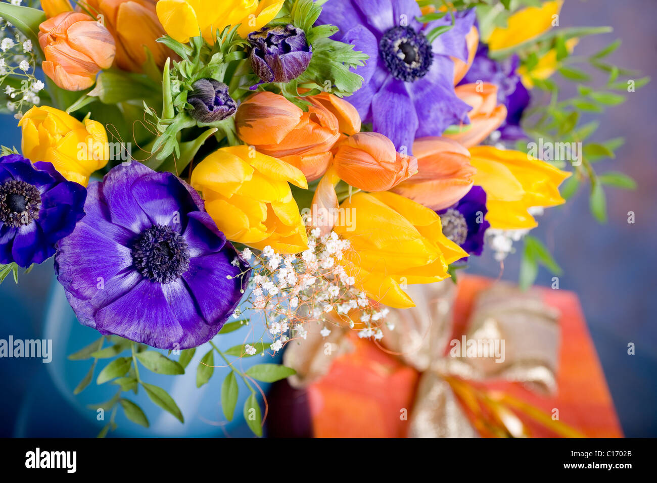 Reihe von Anemonen und Tulpen Stockfoto