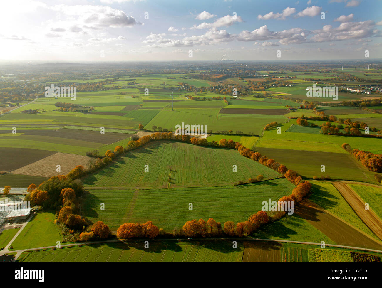 Luftbild, Kreis der Bäume in der Nähe von Esseln, Datteln-Horneburg, Recklinghausen, Ruhrgebiet, Nordrhein-Westfalen Stockfoto