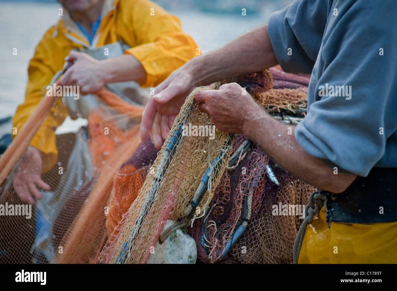 Fischer ziehen in Netzen Stockfoto