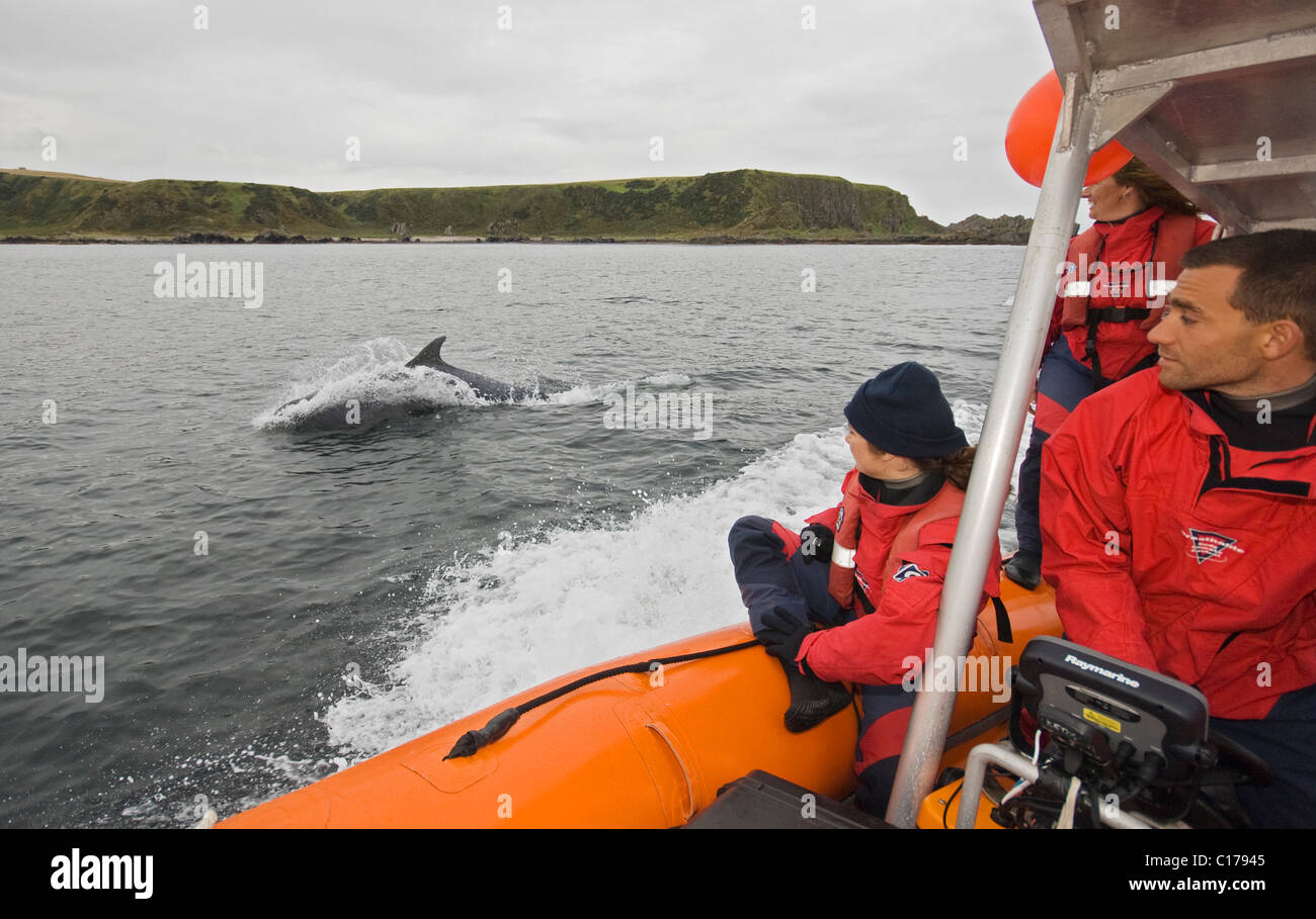 Cetacean Research und Rettungseinheit, Moray Firth, Schottland, Großbritannien. Mitarbeiter und freiwillige Helfer Stockfoto