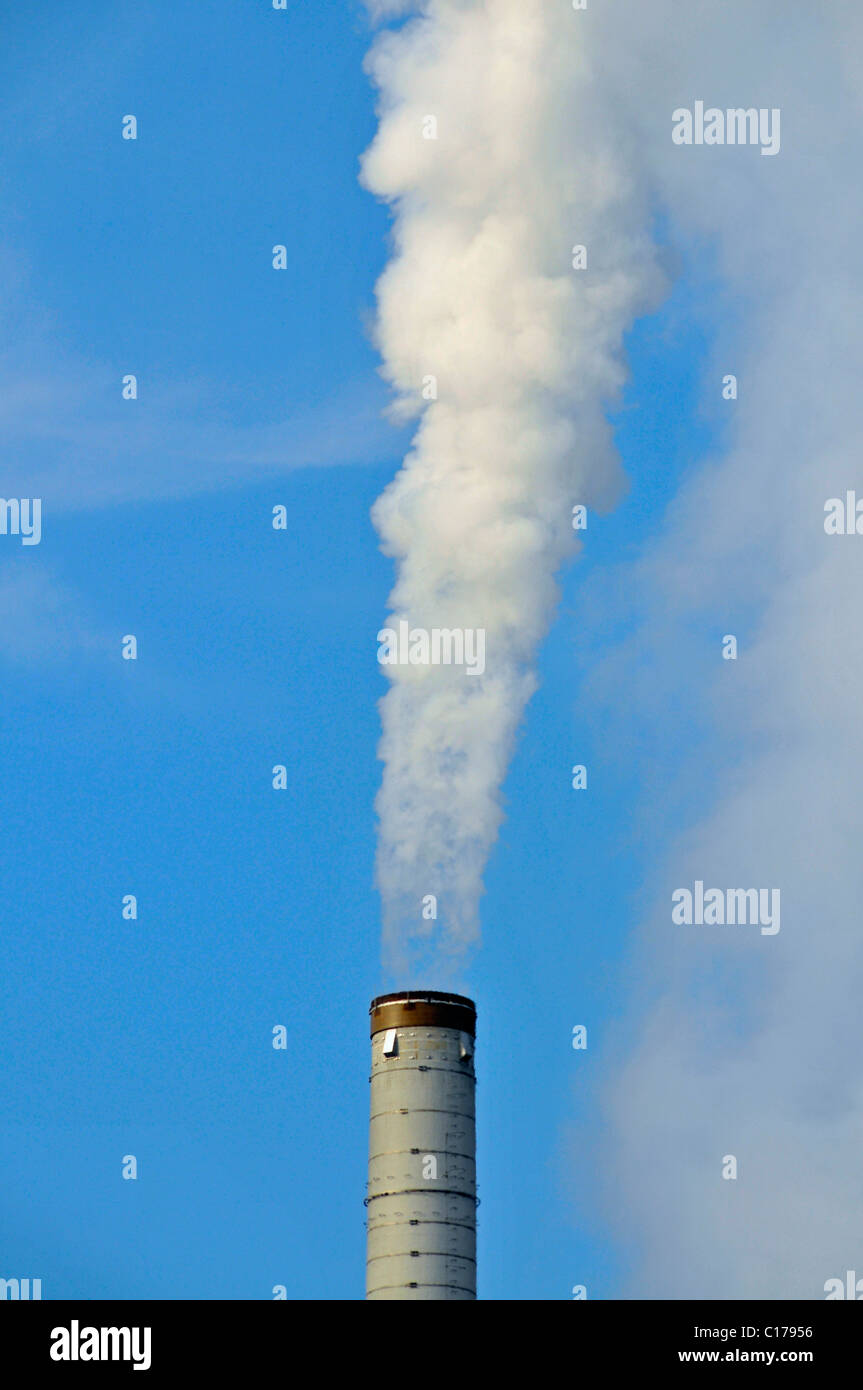 Exhaust Gas Stapel aus einem Ofen, Rheinland Raffinerie-Werk Nord, Shell Deutschland Ölraffinerie, Wesseling, Nordrhein-Westfalen Stockfoto