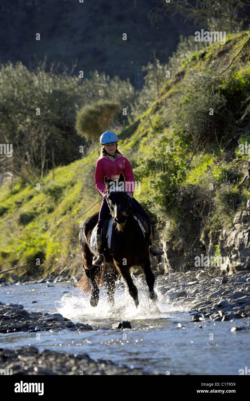 Junge Teenager Engländerin Reiten ihr Pony in einem Bach, Fluss, Teenager, 13, 14, 15, Jahr, Jahre, alt, Person, Weiblich, Pony, Stockfoto