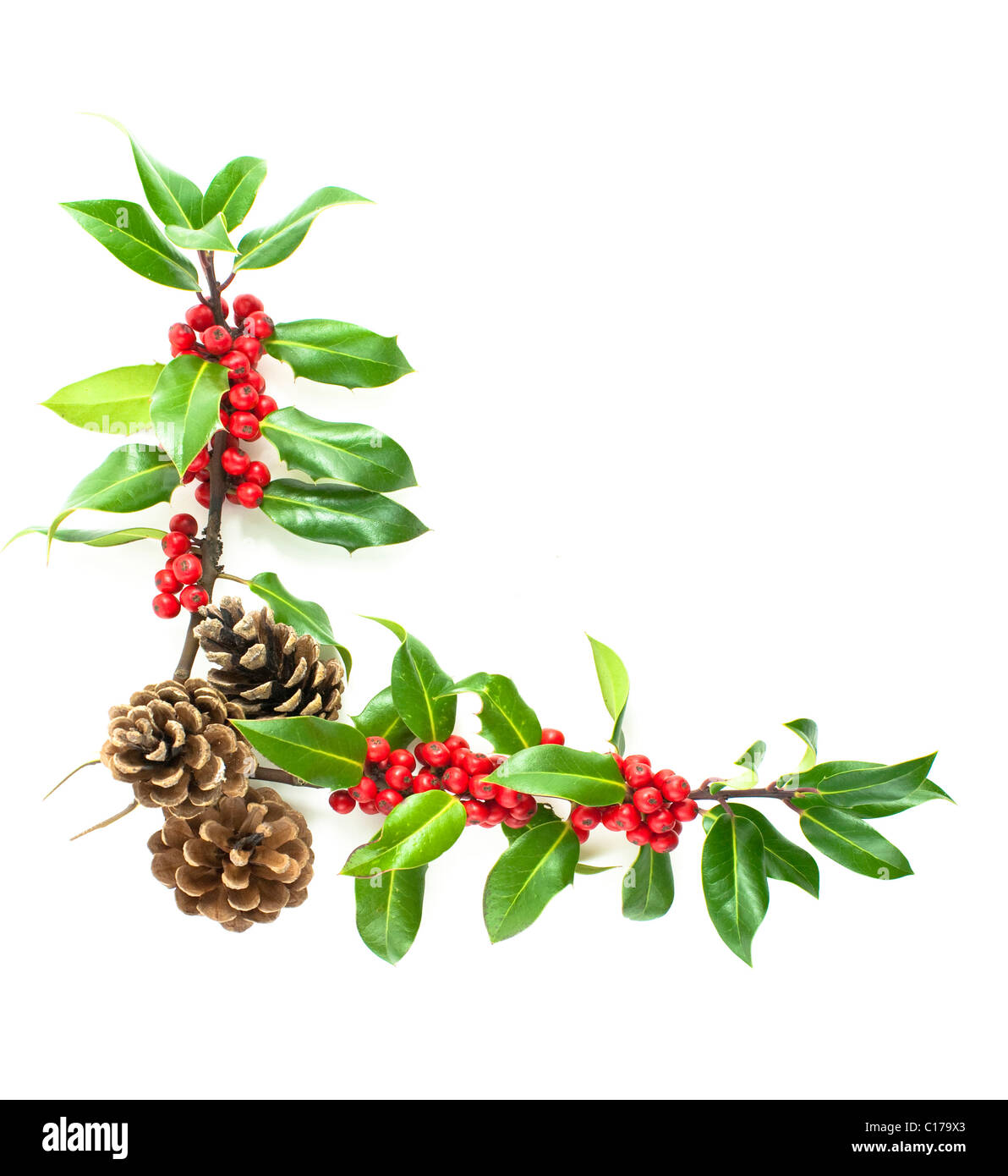 Weihnachten Winter Holly und roten Beeren Stockfoto