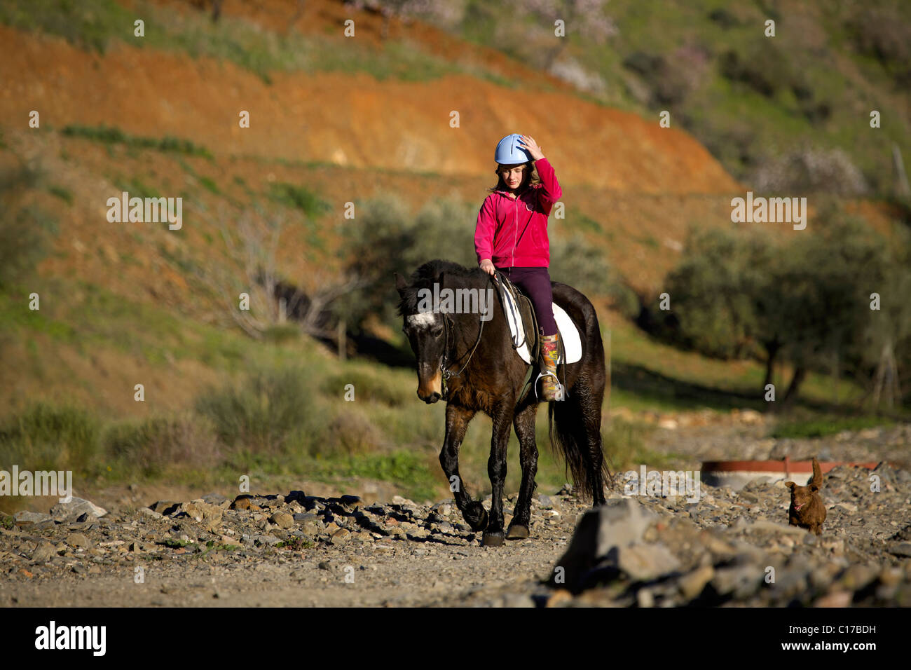 Junge Teenager Engländerin Reiten ihr Pony in der spanischen Landschaft, Teenager, 13, 14, 15, Jahr, Jahre, alt, Person, Weiblich, Stockfoto