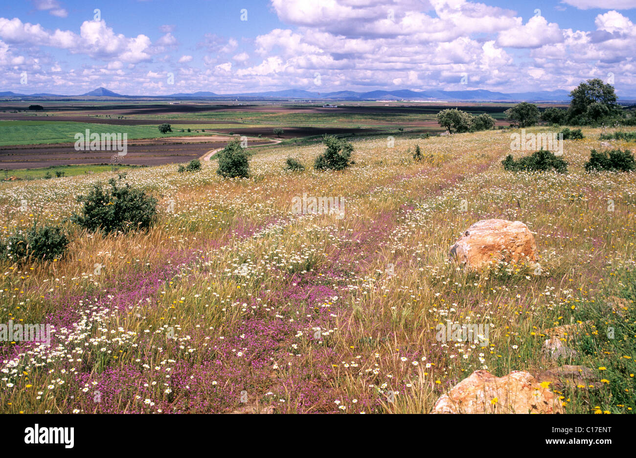 Spanien, Estremadura, Landschaft, nördlich von Don Benito, Blick auf die Sierra del Villar Stockfoto