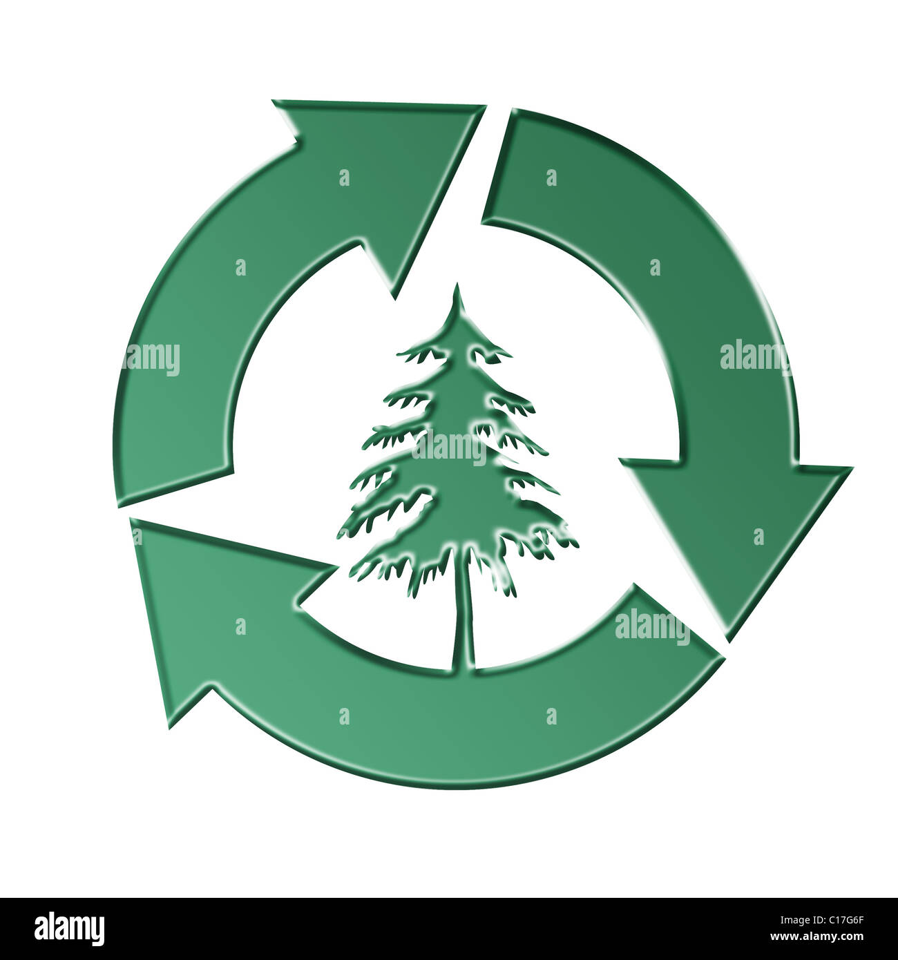 Drei grüne Pfeil Recyclingsymbol mit Nadel-Baum Silhouette auf weißem Hintergrund - Baum-Erhaltung-Konzept Stockfoto