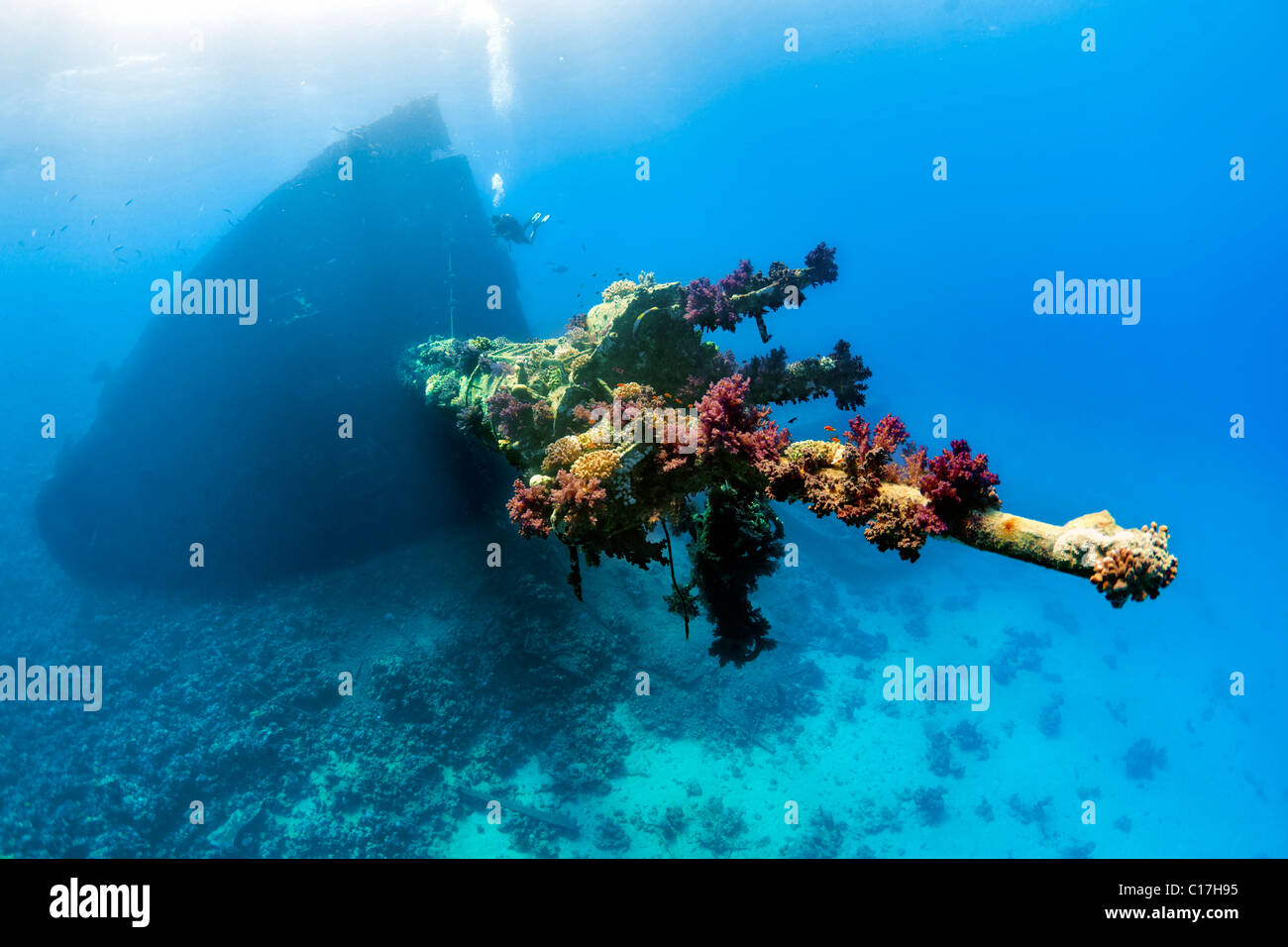 Hart- und Weichkorallen sterben den Mast auf dem gebrochenen Bogen des MV Giannis D Schiffbruchs auf Sha'ab Abu Nuhas im Roten Meer. Stockfoto