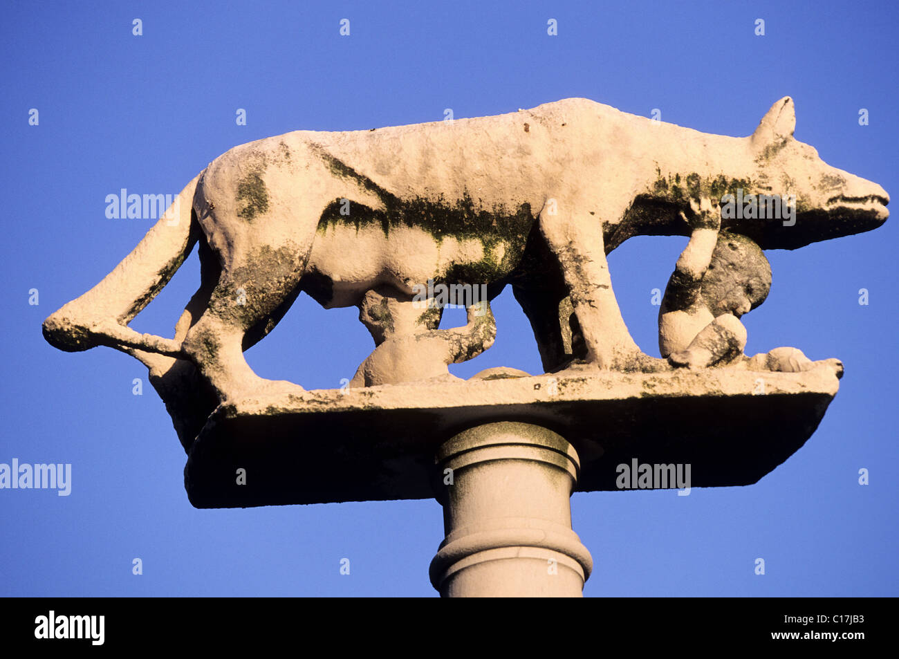 Italien, Toskana, die Wölfin mit Romulus und Remus Stockfoto