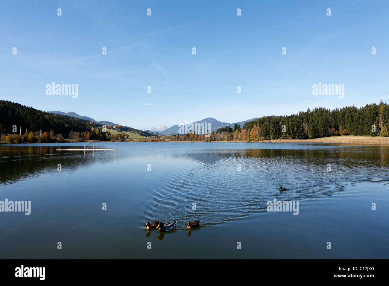 Furtner Teich, Teich, im Naturpark Furtnerteich Grebenzen in der Nähe von Neumarkt, Steiermark, Österreich, Europa Stockfoto