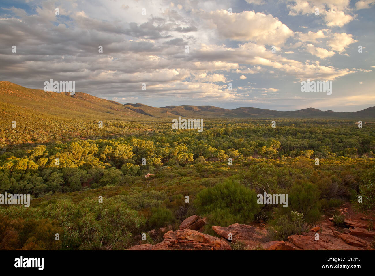 ABC-Bereich oberhalb Wilpena Pound (Ikara), Flinders Ranges National Park, South Australia, Australien Stockfoto