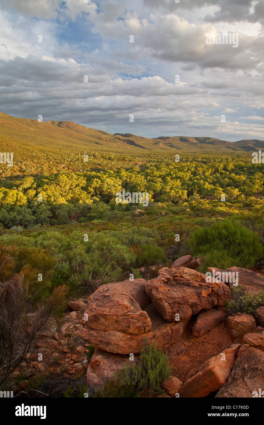 ABC-Bereich oberhalb Wilpena Pound (Ikara), Flinder Ranges National Park, South Australia, Australien Stockfoto