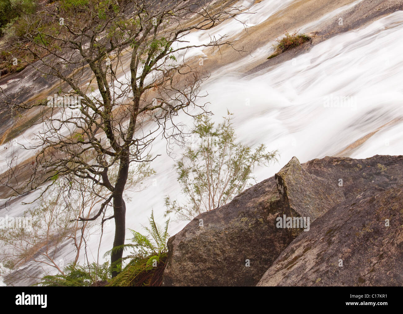 Lower Eurobin Falls, Mount Buffalo National Park, Victoria, Australien Stockfoto