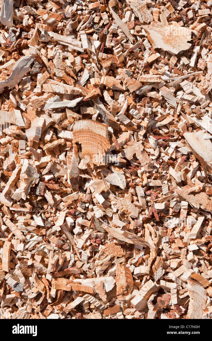 Mulch gemacht von Hackschnitzeln in natürlichem Licht gedreht Stockfoto