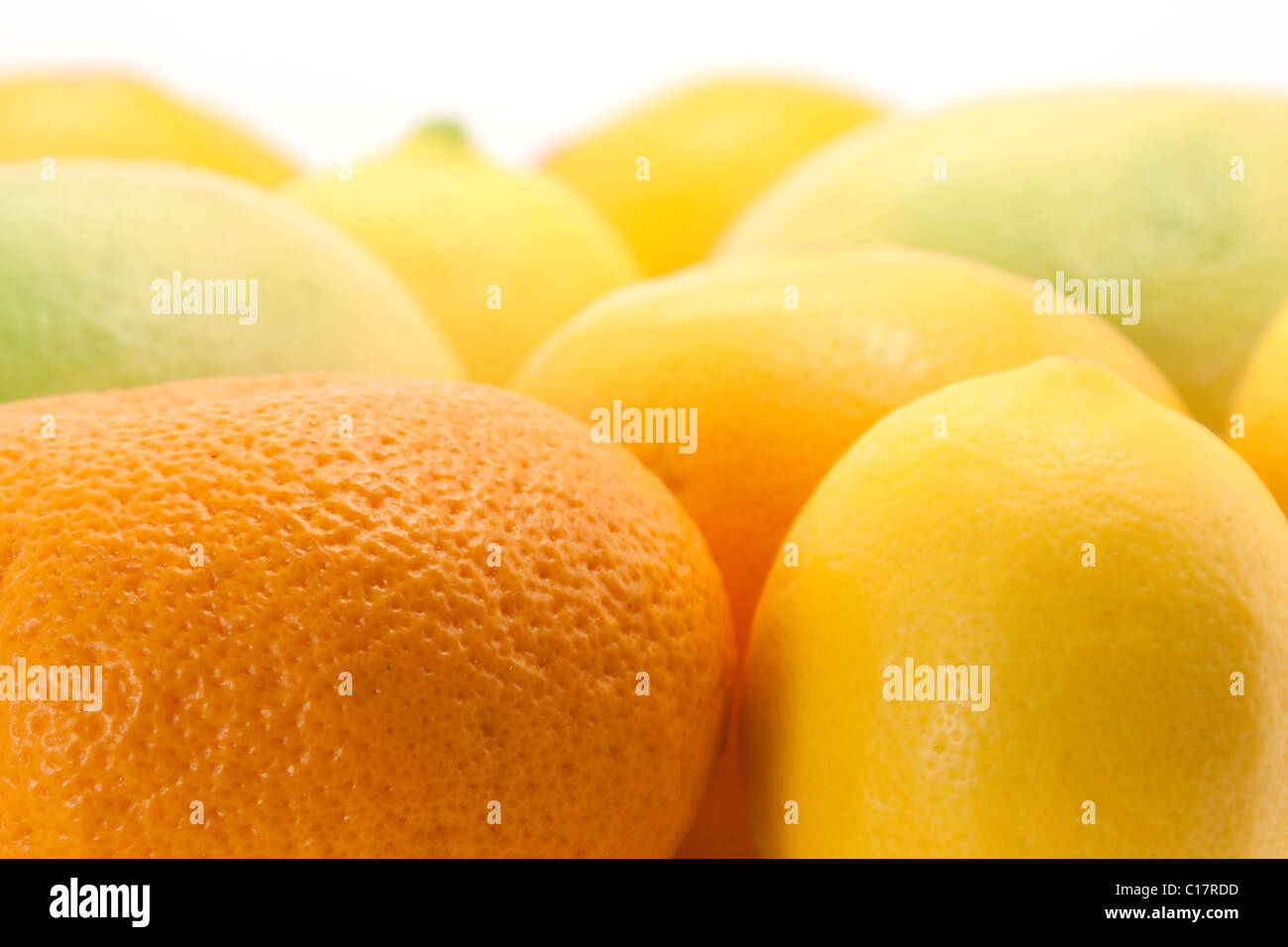 Orange, Mandarine, Grapefruit und Zitrone hautnah Stockfoto
